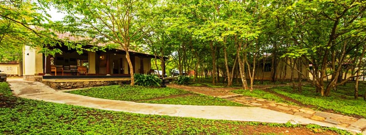 The Windflower Tusker Trails - Bandipur 01.jpg